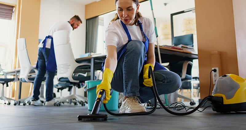 Limpieza profesional